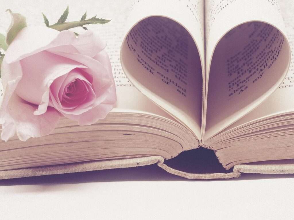 valentines day background, love story, valentine's day, book, literature, page, valentine, vintage, rose, romantic, rose flower, love, romance, concept, bloom